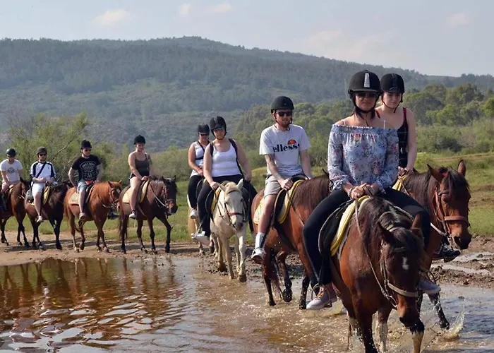 Appartement Penthous Dream Two-bedroom Duplex