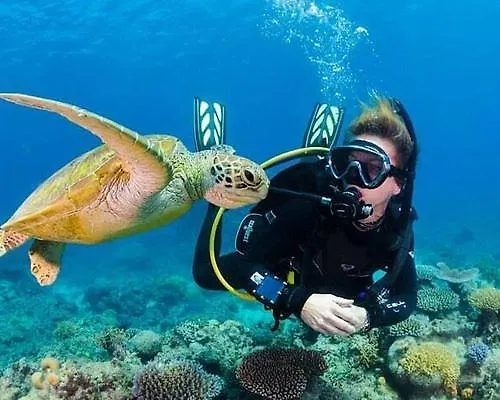 Penthous Dream Two-bedroom Duplex